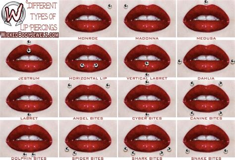 15 Types Of Lip Piercings Mouth Piercings Different Lip Piercings