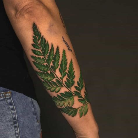 30 Best Fern Tattoo Design Ideas What Is Your Favorite Artofit