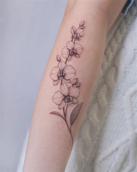 30 Gorgeous Orchid Tattoo Designs And Ideas Tattoobloq Orchid 30 Gorgeous Orchid Tattoo Designs And Ideas Tattoobloq Orchid