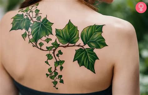 8 Best Ivy Tattoos Symbolic Vines Of Growth Amp Resilience 8 Best Ivy Tattoos Symbolic Vines Of Growth Amp Resilience