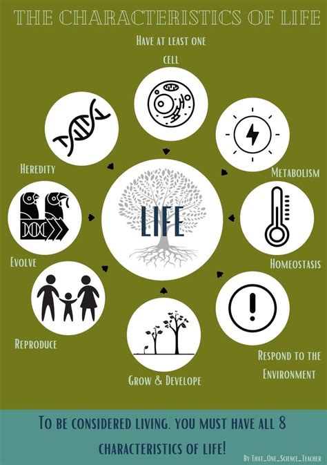 8 Key Characteristics of Life Explored