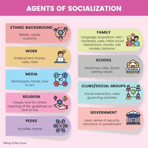 Agents of Socialisation: Unveiling Hidden Influences