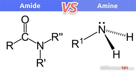Amide vs Amine: Key Differences Demystified
