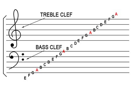 Master Base Clef Notes: Quick Expert Guide