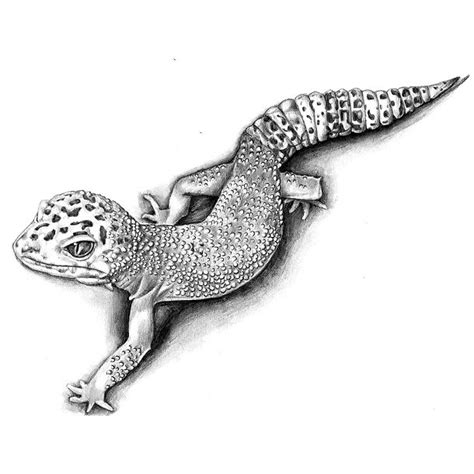 Best Gecko Tattoo Sketch Tattoo Design