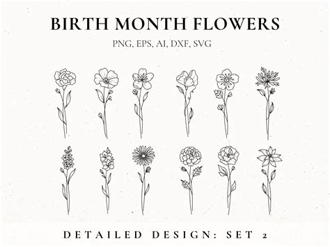 Birth Month Flower Svg Bundle Fine Line Flower Flower Stencil Floral Birth Month Flower Svg Bundle Fine Line Flower Flower Stencil Floral