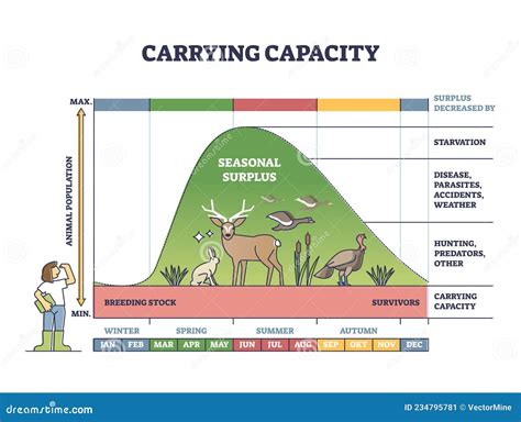 Exploring Real-World Carrying Capacity Examples for Sustainable Growth