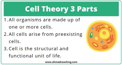 Cell Theory 3 Parts Explained: Unveiling Science's Fundamental Truths