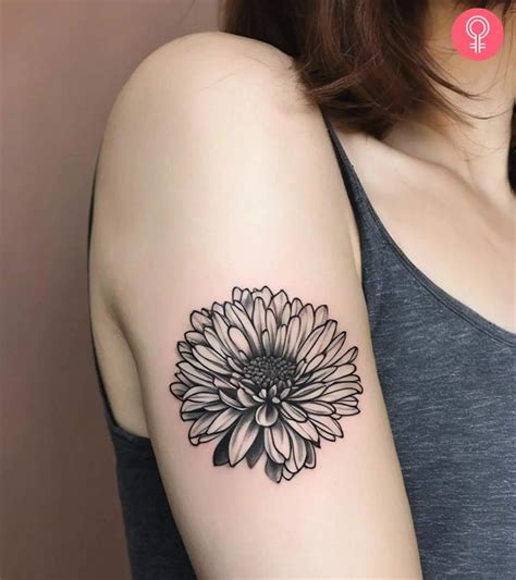 Chrysanthemum Tattoo 8 Stunning Ideas And Meanings Chrysanthemum Tattoo 8 Stunning Ideas And Meanings