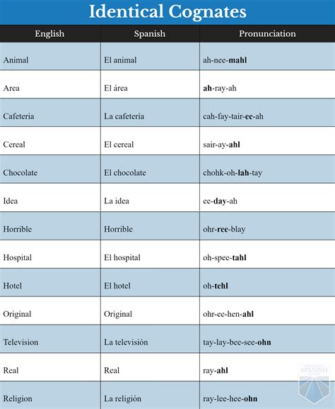 Unlocking Cognates in Spanish: Your Quick Guide to Easier Learning