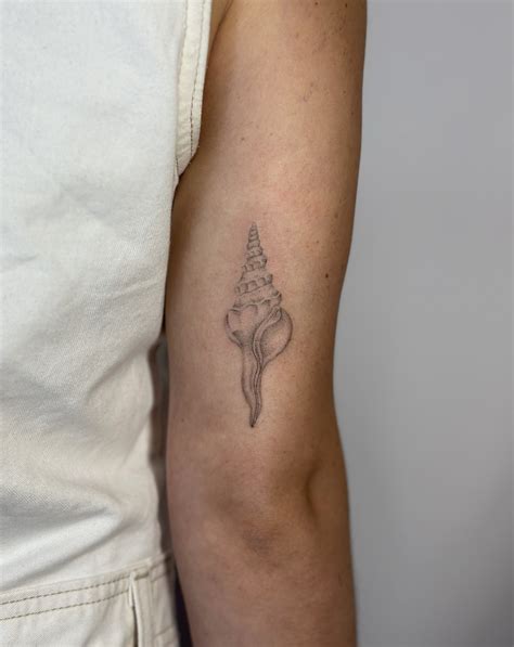 Conch Shell Tattoodo Conch Shell Tattoodo