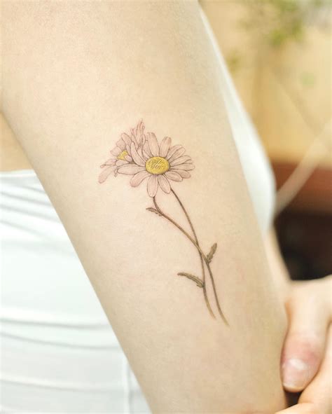 Daisy Flower Tattoo Designs Best Flower Site Daisy Flower Tattoo Designs Best Flower Site