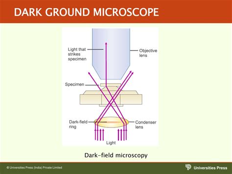 Dark Ground Microscopy: Secrets Unveiled Efficiently