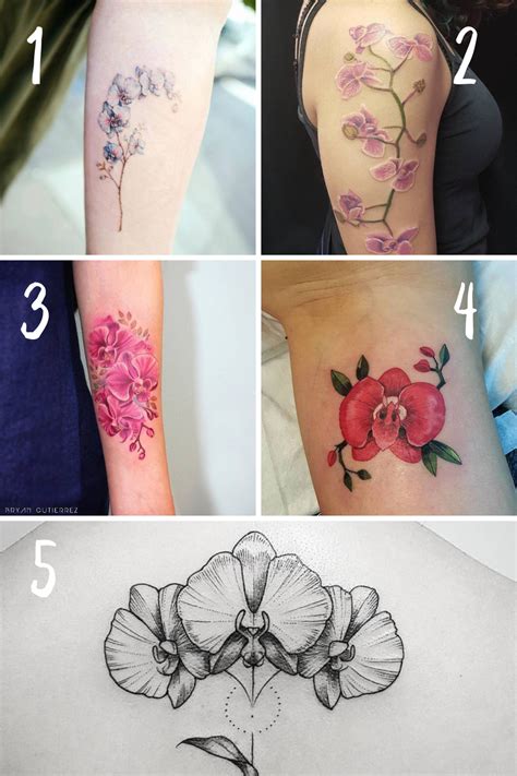 Delicate Stunning Orchid Flower Tattoo Ideas Tattoo Glee Delicate Stunning Orchid Flower Tattoo Ideas Tattoo Glee