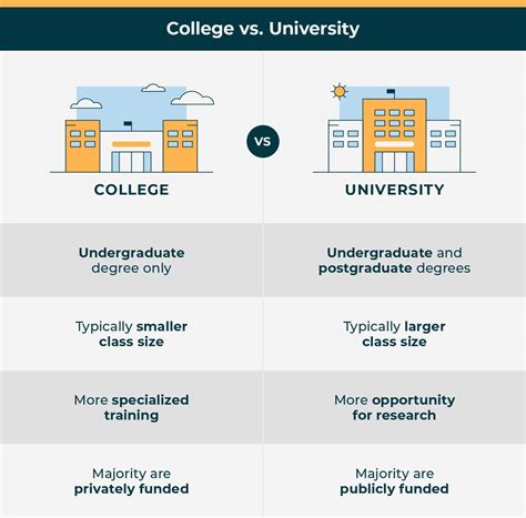 Difference Between University vs. College Explained