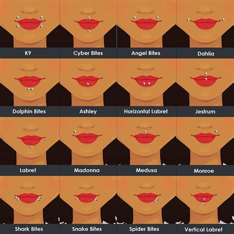 Different Types Of Lip Piercings Your Complete Guide Lip Piercing