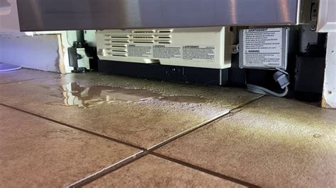 Dishwasher Leaking Water Under Door At Mackenzie Petit Blog