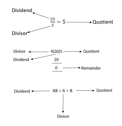 Divisor vs Dividend: Unveiling the Math Behind Your Numbers