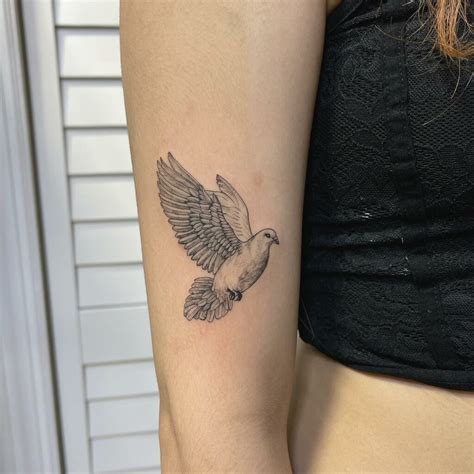 Dove Bird Tattoo Designs