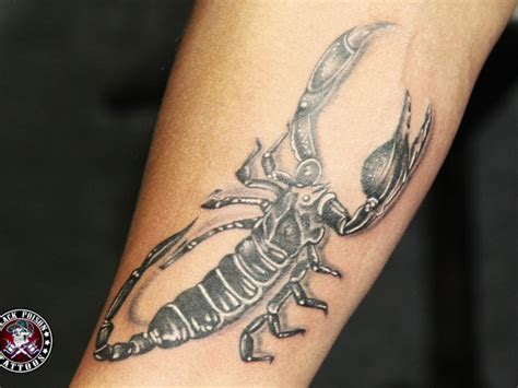 Egyptian Scorpion Tattoo Bronctattooaus Com