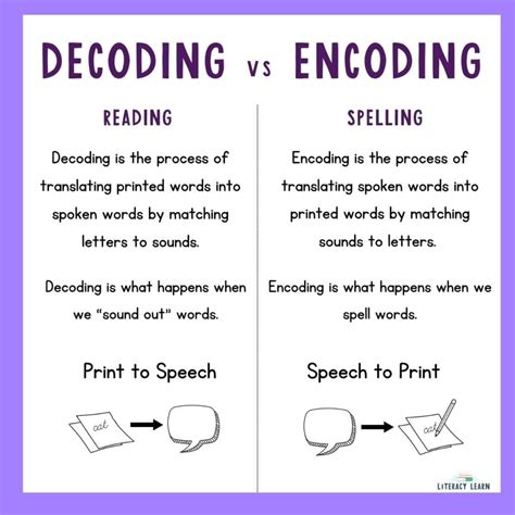 Encoding vs Decoding: Unraveling the Communication Code