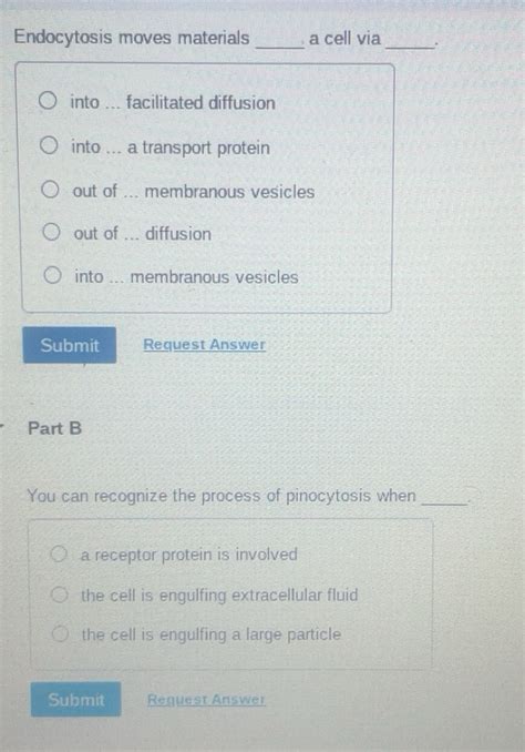 Endocytosis: Cells' Secret Transport Mechanism Unveiled.