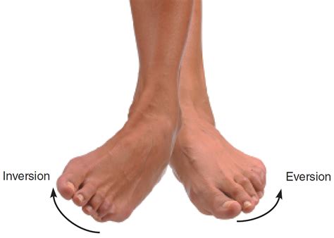 Understanding Eversion of Foot: Key Injury Insights