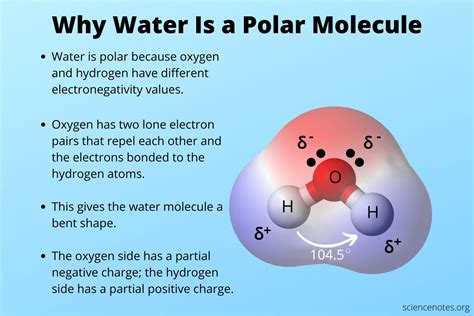 Unveiling the Mystery Behind Water's Polar Nature
