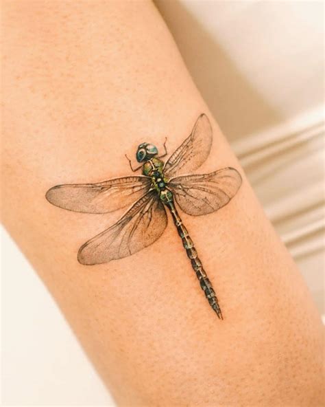 Explore Dragonfly Tattoo Deep Meaning And Creative Design Options Explore Dragonfly Tattoo Deep Meaning And Creative Design Options