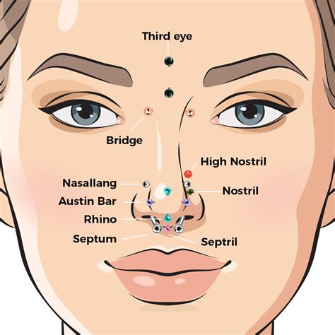 Face Piercings Names And Pictures Ear Piercing Names Ultimate Guide