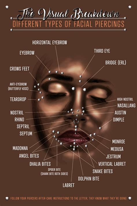 Facial Piercings Infographic Chart Poster Various Locations Of Face