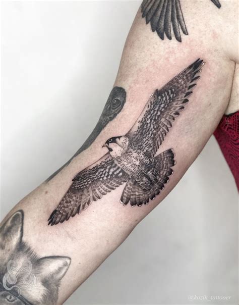 Falcon Bird Tattoo Kozik Falcon Tattoo Hawk Tattoo Tattoos For Guys Falcon Bird Tattoo Kozik Falcon Tattoo Hawk Tattoo Tattoos For Guys