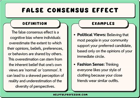 Unmasking the False Consensus Effect: Why You See What You Want to See