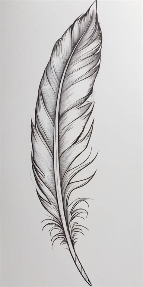 Feather Tattoo Design Feather Tattoo Design Feather Sketch Feather