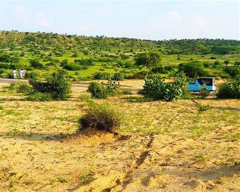 Secrets of the Fertile Area in Desert: Unveiling Nature's Hidden Oasis