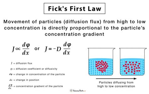 Fick's Law of Diffusion Explained Simply