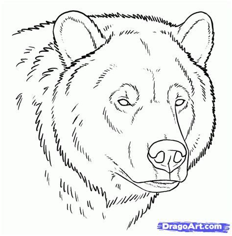 Grizzly Bear Free Drawing Patterns To Trace Grizzly Bear Tattoos Grizzly Bear Free Drawing Patterns To Trace Grizzly Bear Tattoos