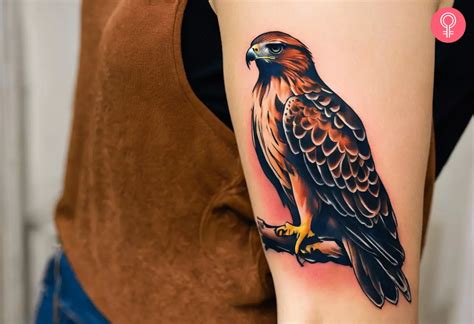 Hawk Tattoo Designs