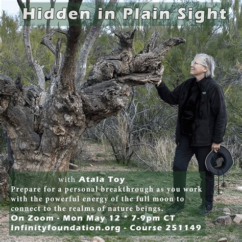 Hidden in Plain Sight: Elite Secrets Unveiled