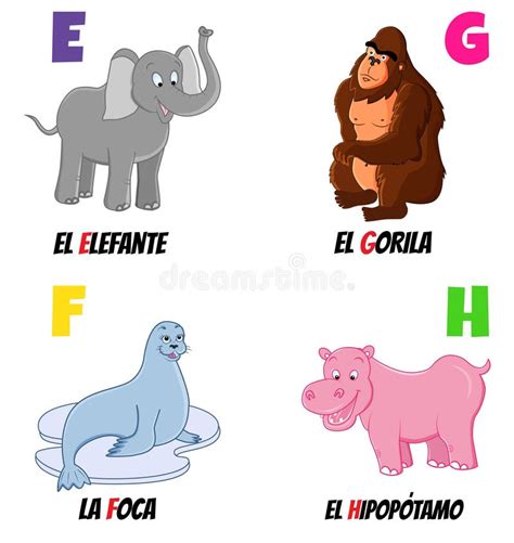 Hippo in Spanish: Simple Translation Revealed