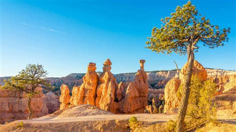 Discover the Enigmatic Beauty of Hoodoos