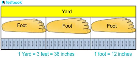 How Many Yards in a Foot?