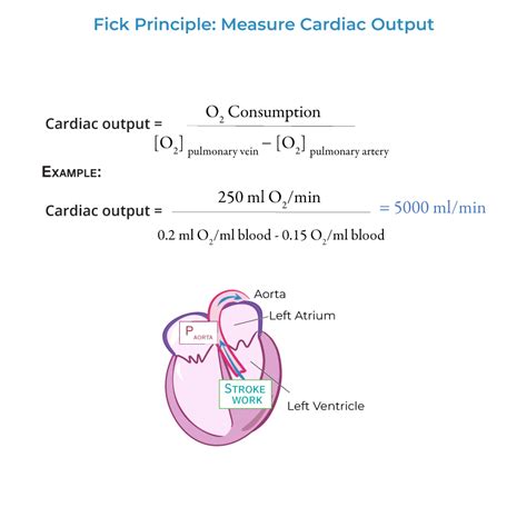 Master Cardiac Output Calculation: Quick Guide