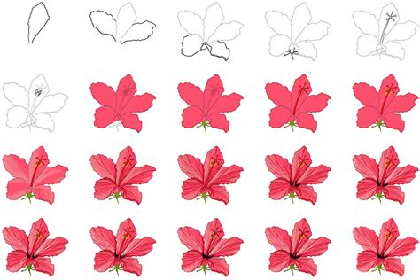 How To Draw A Hawaiian Flower A Step By Step Guide Hawaiian Flower How To Draw A Hawaiian Flower A Step By Step Guide Hawaiian Flower