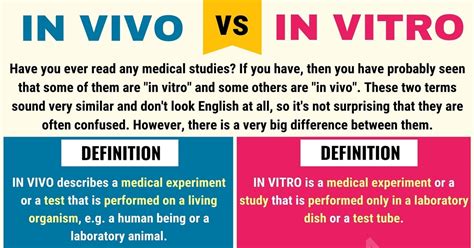 In Vivo vs In Vitro Comparison Unveiled: Key Differences Explored