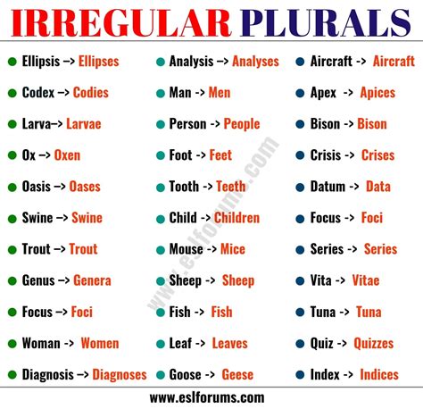 Mastering Irregular Plural Nouns in English