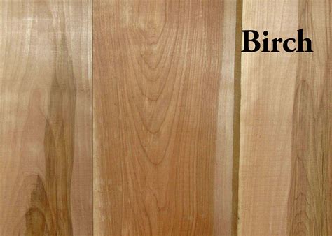 Uncovering Truth: Is Birch Truly Hardwood?