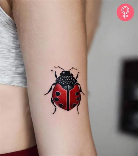 Ladybug Tattoo Meaning 8 Powerful Symbolism And Design Ideas
