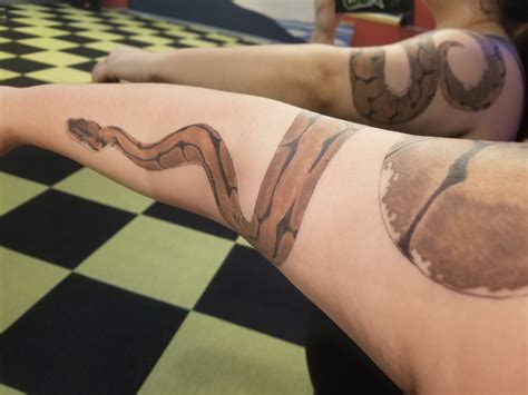 Lets See Your Tattoos Of Your Reptiles All Reptiles Morphmarket Reptile Community Lets See Your Tattoos Of Your Reptiles All Reptiles Morphmarket Reptile Community