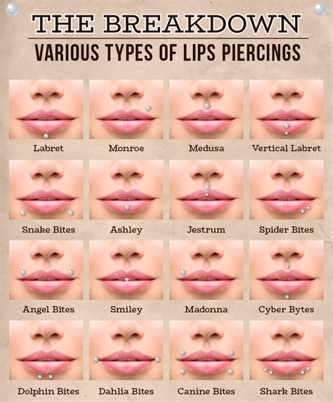 Lip Piercing Types For Girls Different Types Of Nostril Piercings
